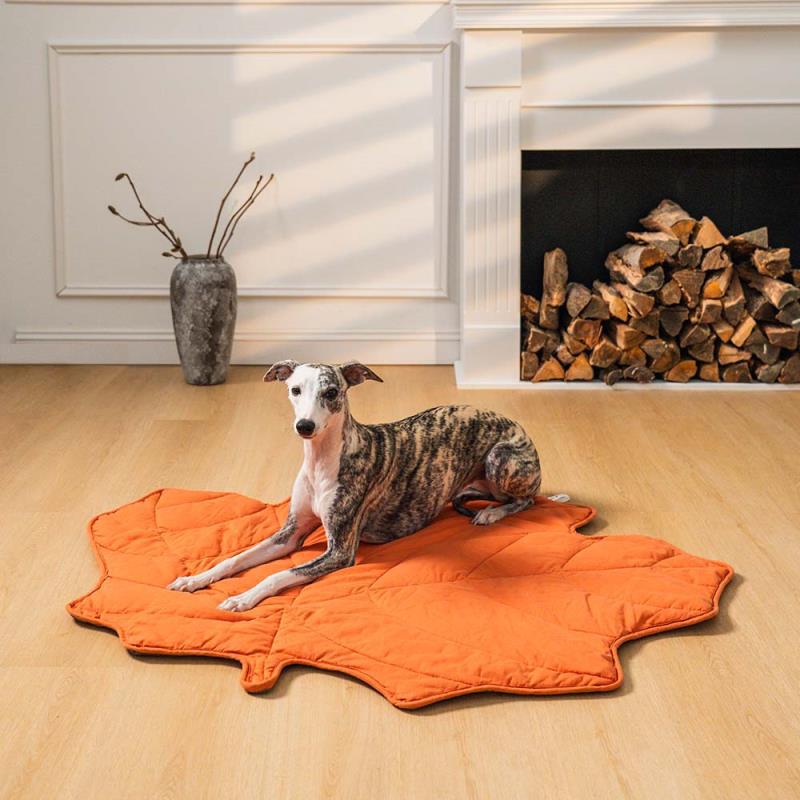 Universal Dog Mat for All Seasons