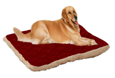 Pet Ice Silk Cushion