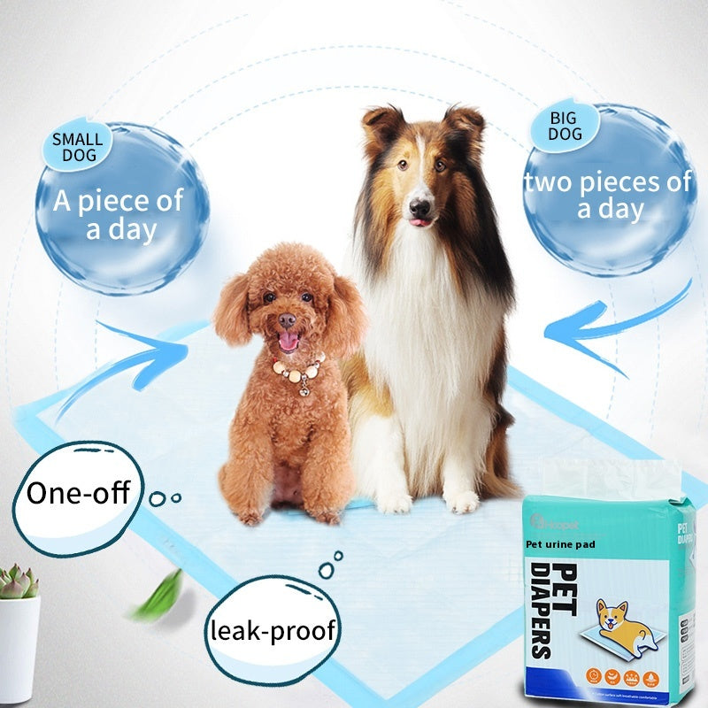 Absorbent Dog Training Pad