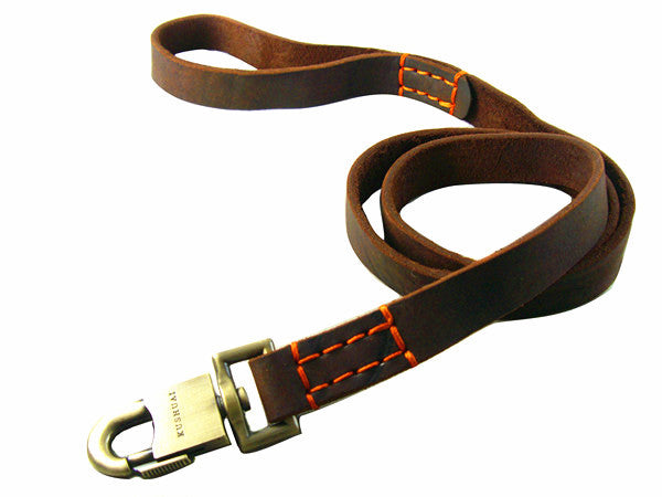 Wide Dog Leash - Heavy Duty Nylon Pet Leash With Ergonomic Handle For Medium And Large Dogs