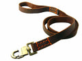 Wide Dog Leash - Heavy Duty Nylon Pet Leash With Ergonomic Handle For Medium And Large Dogs