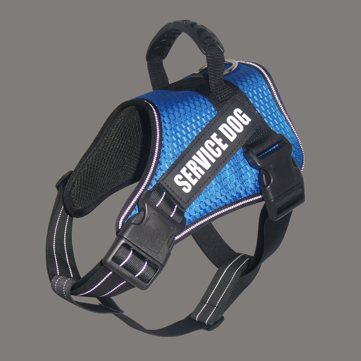 Custom Pet Harness