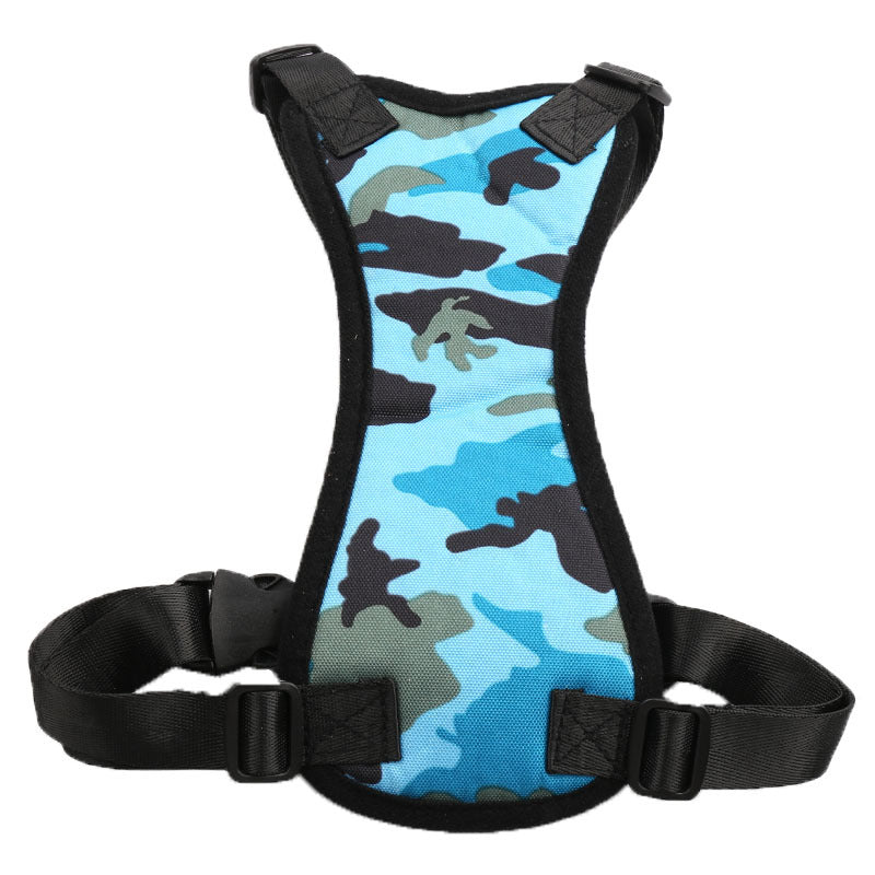 Car Seat Belts for Pets