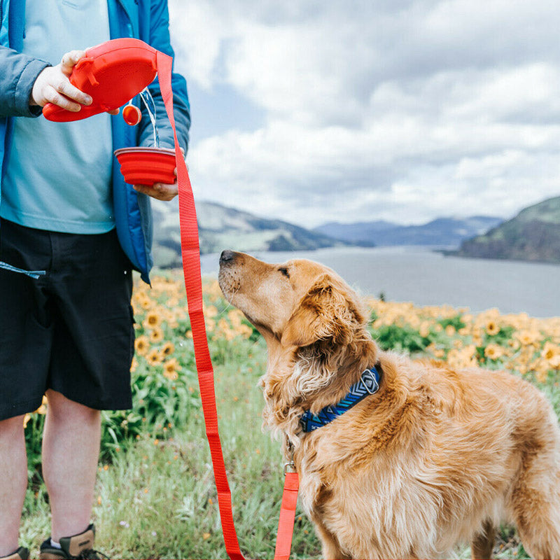Portable Retractable Leash With Water Bottle