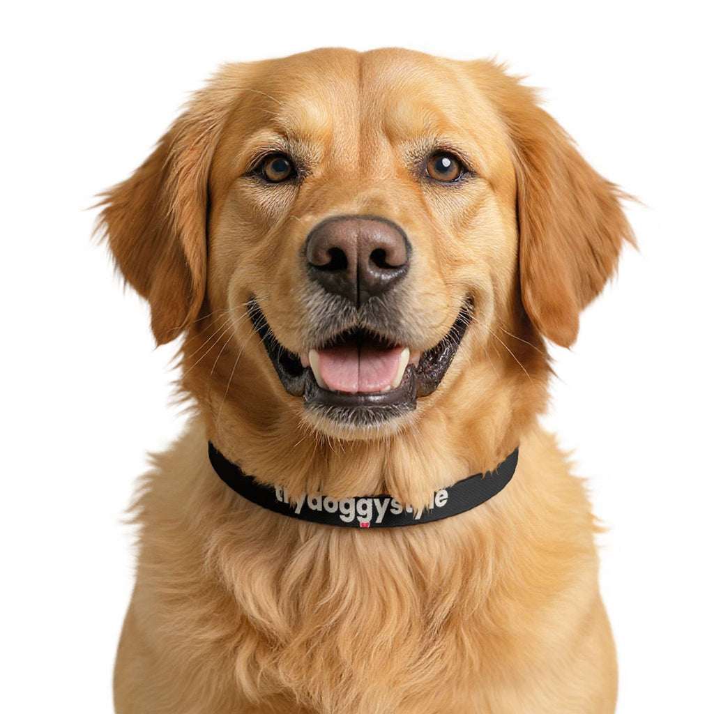 Doggystyle Dog Collar