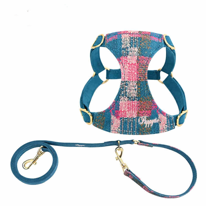 Dog Hand Holding Rope Vest Walking Dog