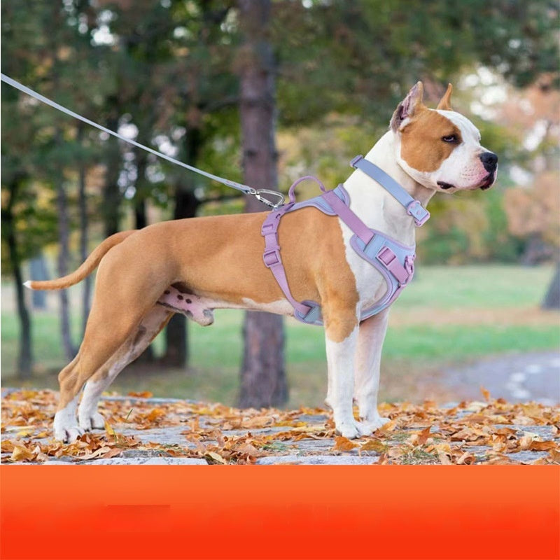 Hand-Holding Rope Dog Chest Leash