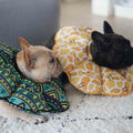 Waterproof Anti Licking And Anti Biting Dog Headgear