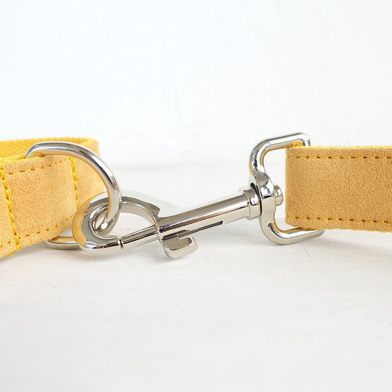 Pet Dog Collar And Traction Rope