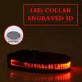 Glow In The Dark Lettering Dog Collar