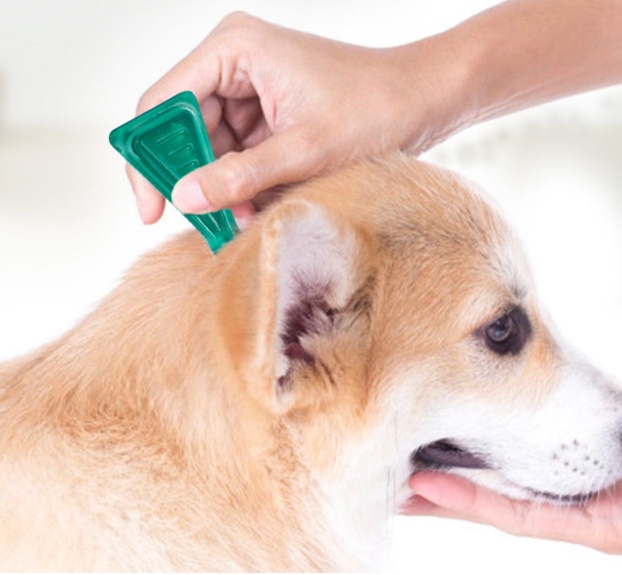 Abamectin Transdermal Solution