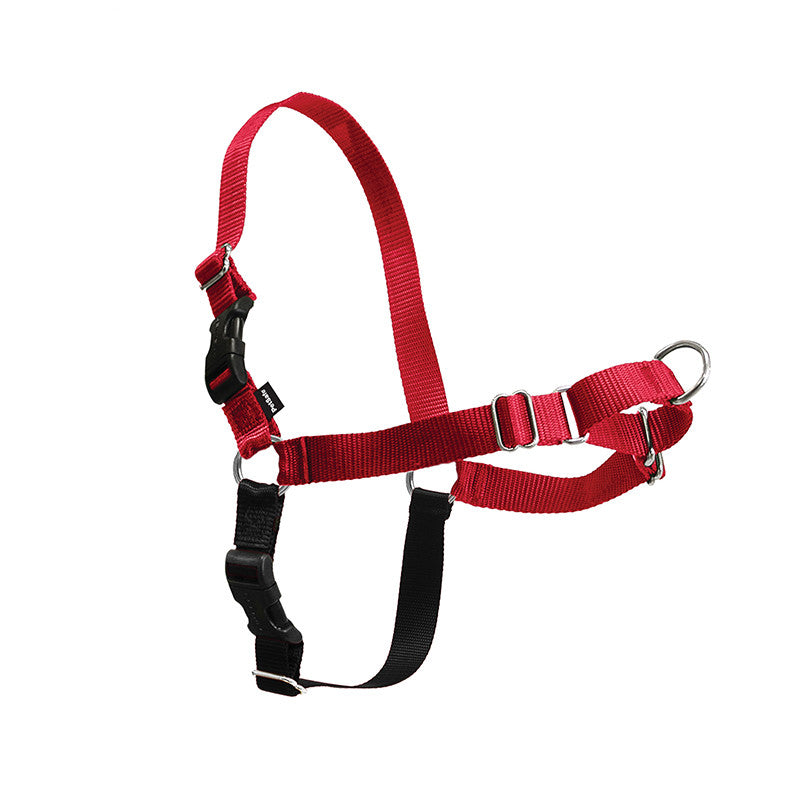 Dog Walking Collar
