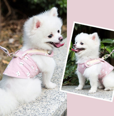 Cute Pet Dog Harness and Leash Set