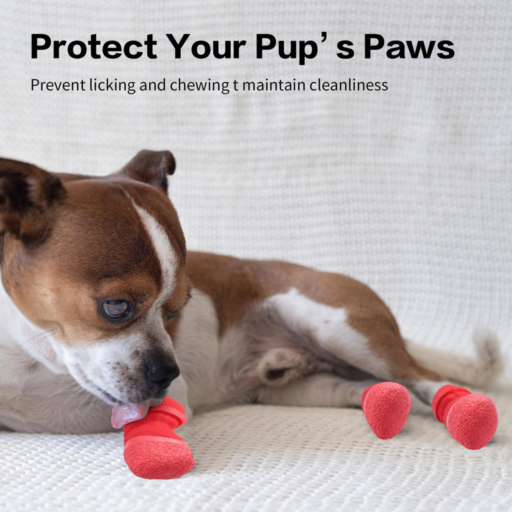 Anti Slip Dog Socks and Paw Protectors