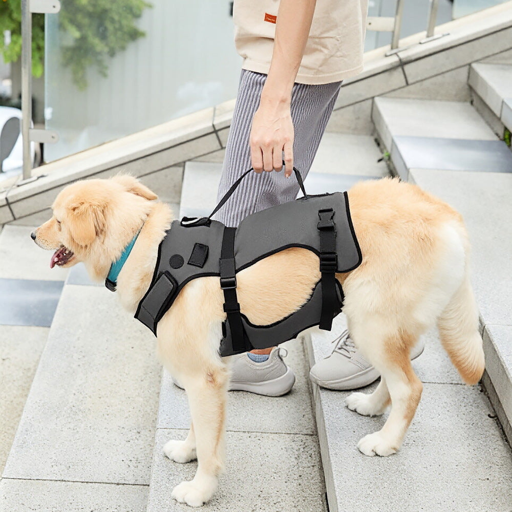 Assistance Harness for Dogs With Weak Legs