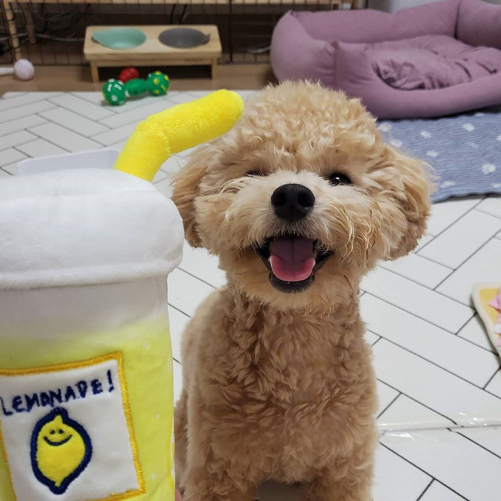Pet Plush Voice Toy