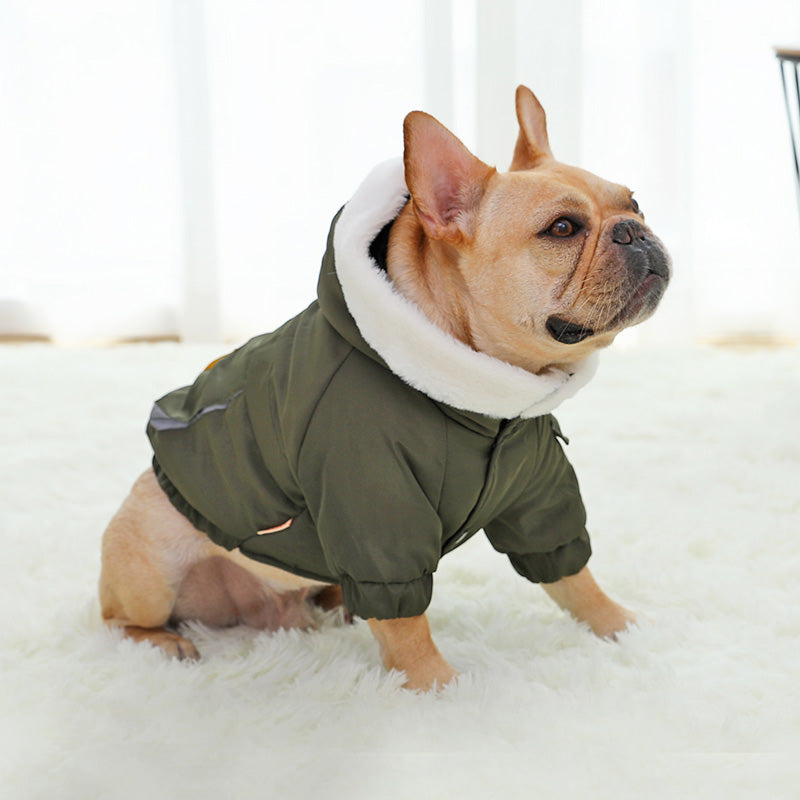 Autumn Winter Medium Corgi Dog Clothes