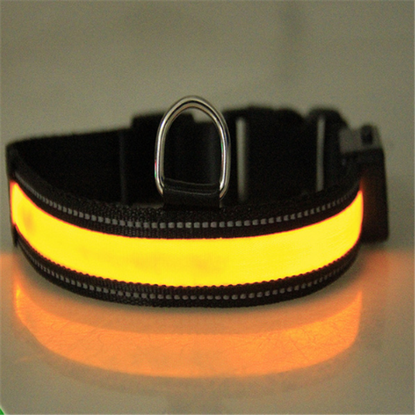 Fluorescent Dog Collar