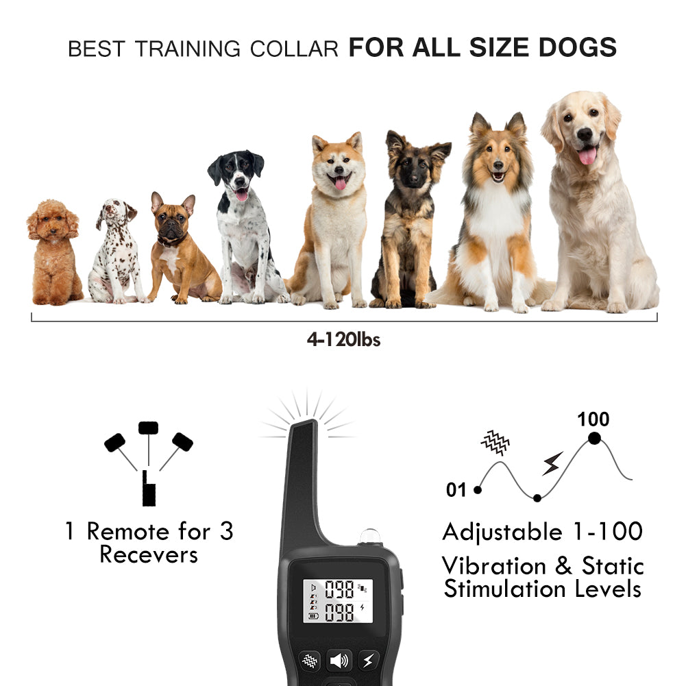 Remote Control Pet Training Device