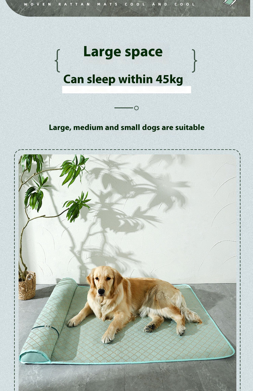 Summer Kennel Dog Mat