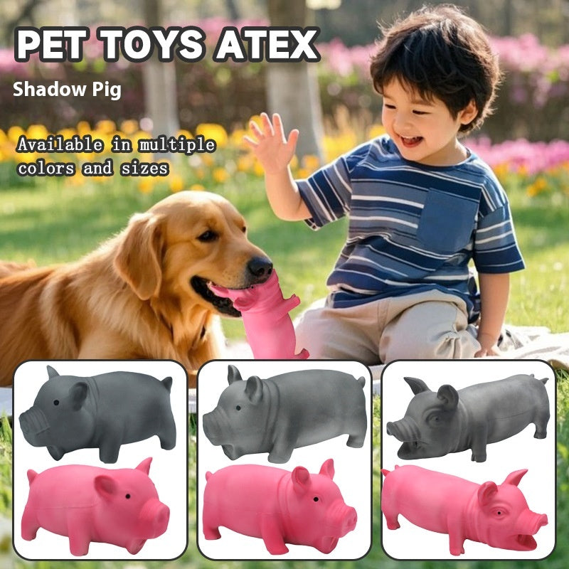 Long-Lasting Dog Molar Chew Toy