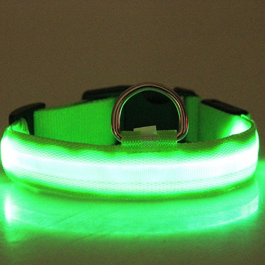 LED Luminous Pet Collar For Night