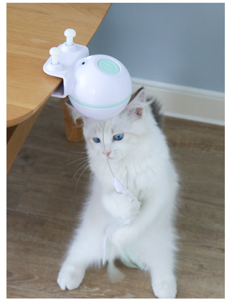 Pet Toy Ball