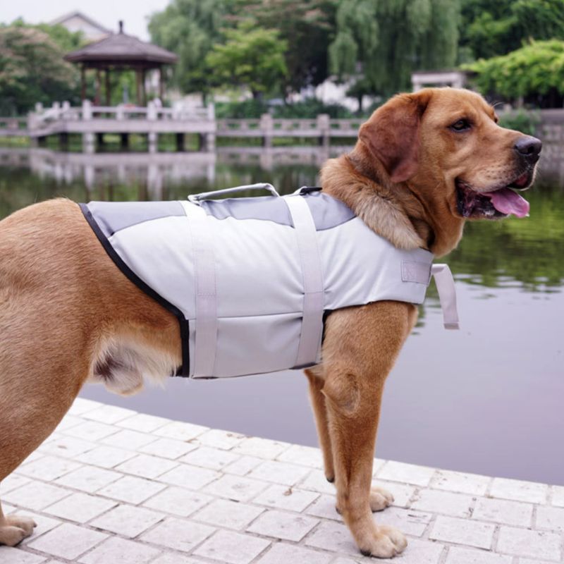 Polyester Pet Life Jacket
