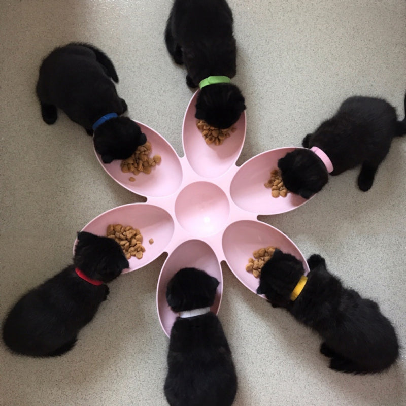 Petal-Shaped Multifunctional Pet Bowl