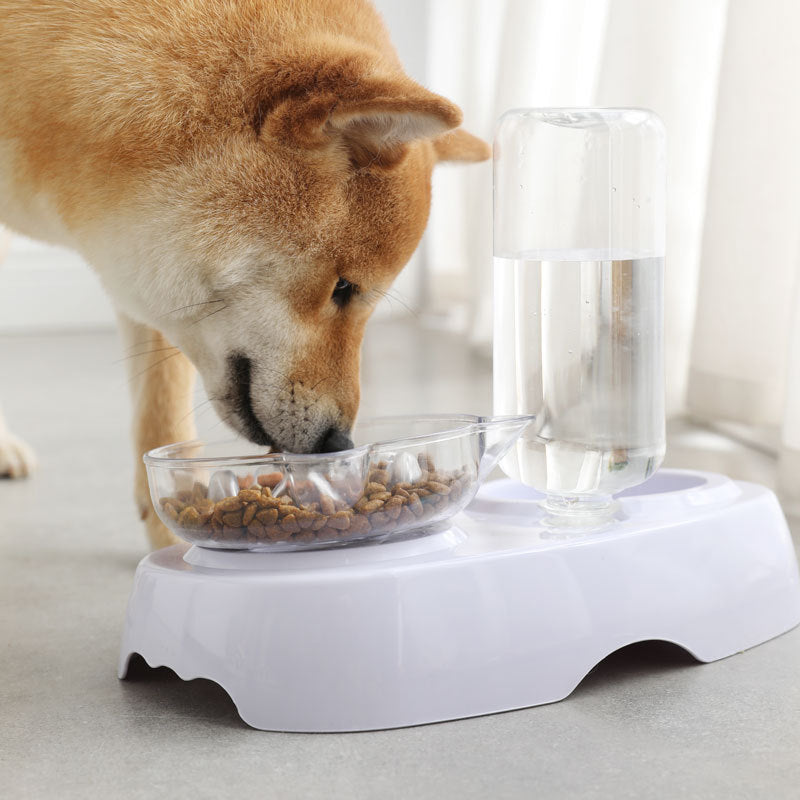 Transparent Cat Feeding and Drinking Bowl