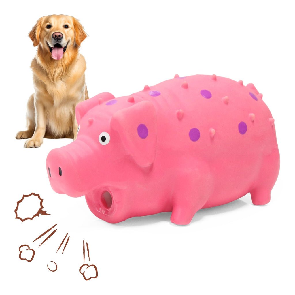 Grunting Latex Pig Dog Toy