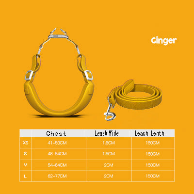 Per Harness With Leash