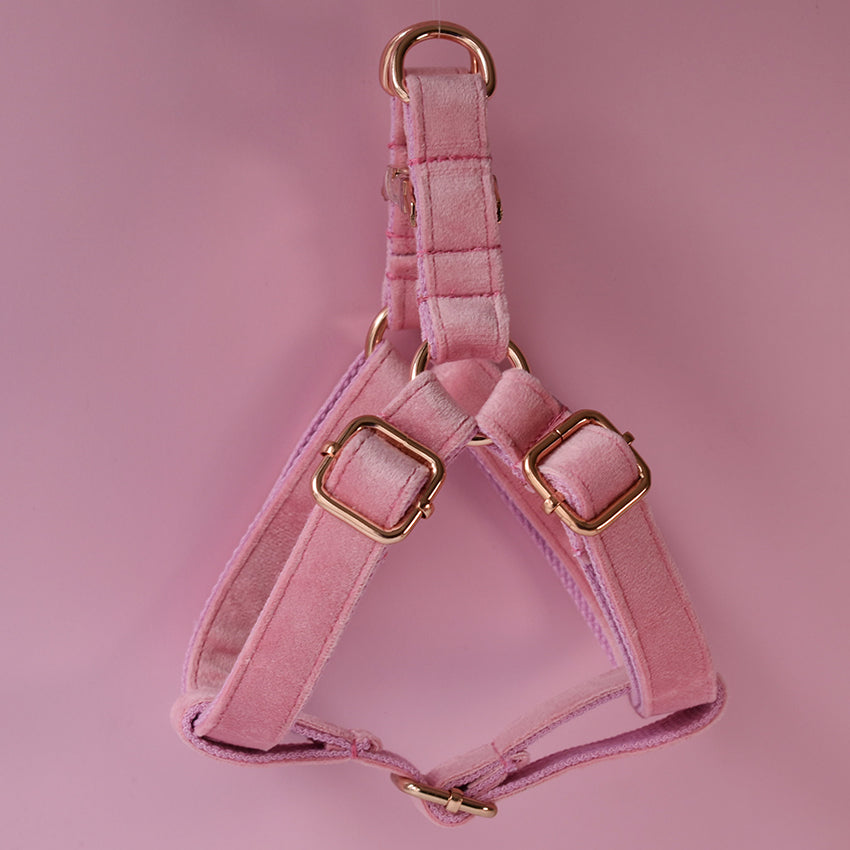 Adjustable Dog Chest Harness