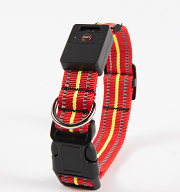 Pet Dog Glowing Collar