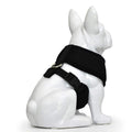 Small Dog Walking Vest