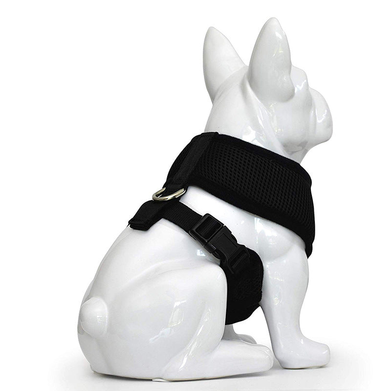 Small Dog Walking Vest