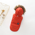 Hooded Cotton Dog Coat