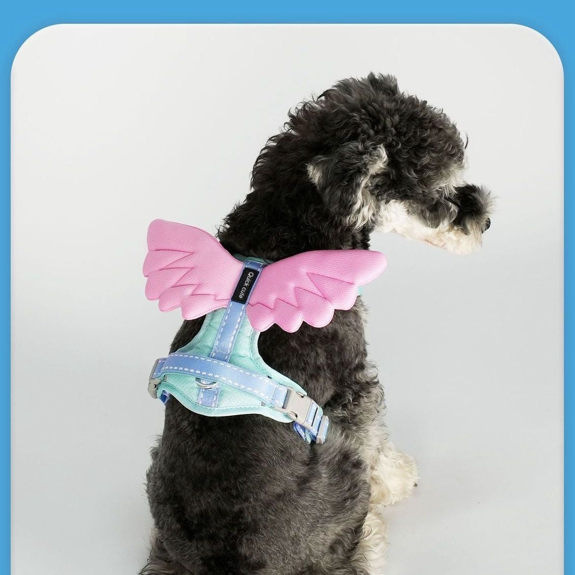 Universal Dog Harness With 3D Wings And Leash