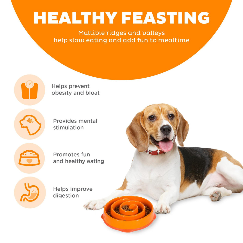 Silicone Puzzle Slow-Feeding Dog Bowl