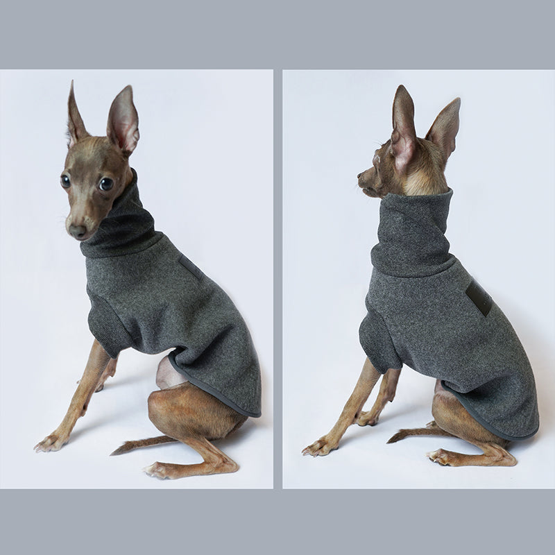 Double Thickened Dog Warm Clothes