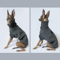 Double Thickened Dog Warm Clothes