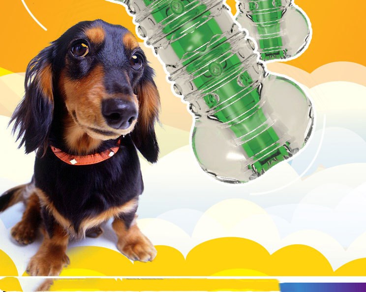 Crunchy Bone Toy