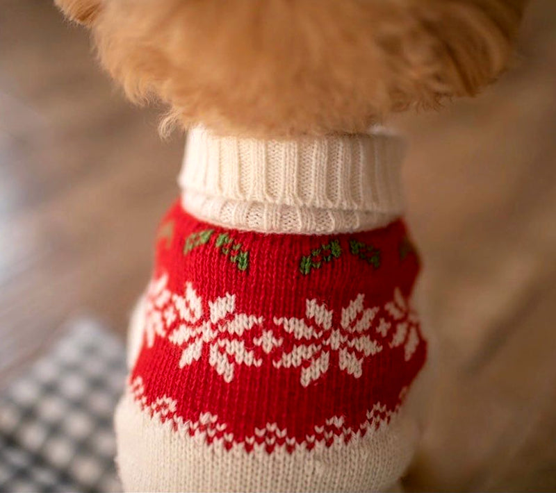 Dog Knitted Sweater Vip Schnauzer