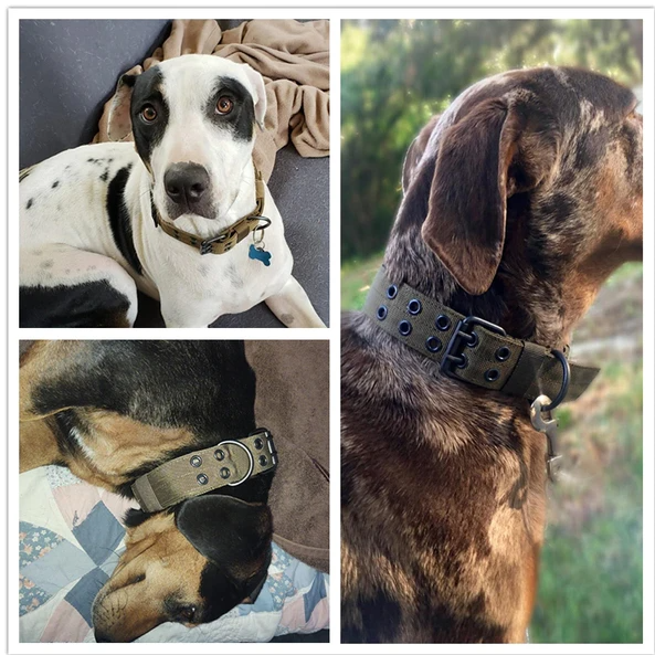 Wide Heavy Duty Dog Collar with Metal Buckle