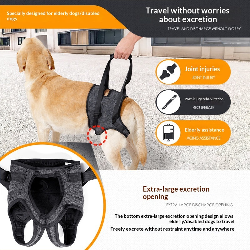 Retractable Dog Harness