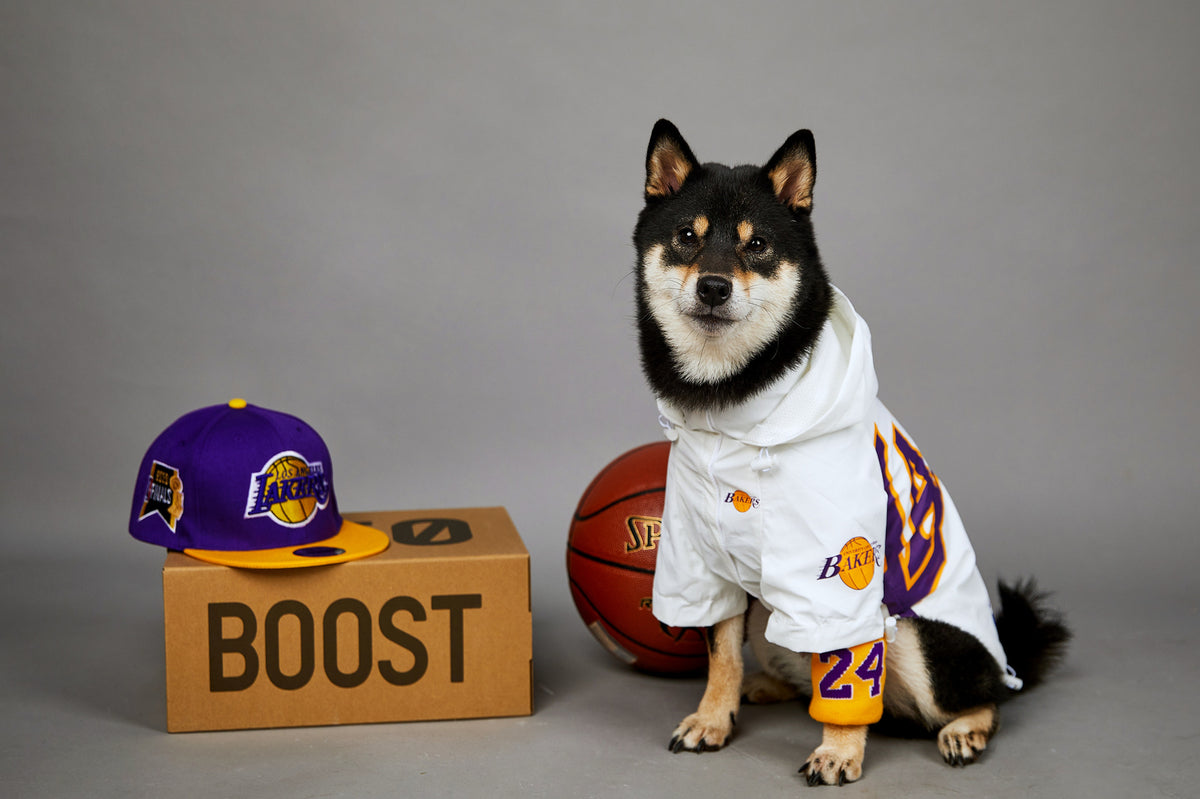 Polyester Dog Shell Jacket