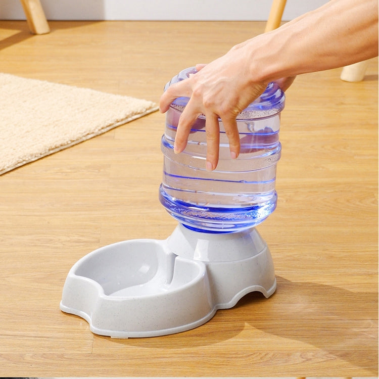 Automatic Dog and Cat Feeder
