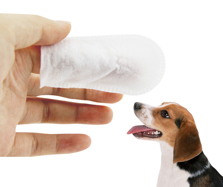 Pet Oral and Ear Wipes