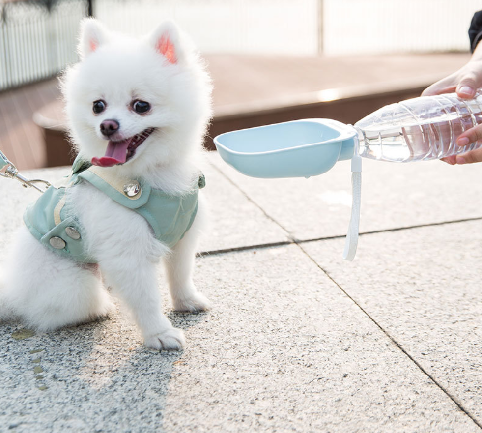 Portable Pet Water Feeder Attachment