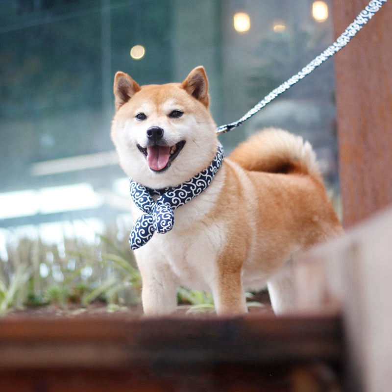 Japanese Style Cotton Dog Collar